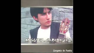 Miguel Carabajal  Mientras Bailas [upl. by Yuma]