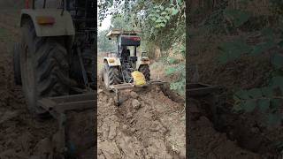 Plowing In Tomato Farmswaraj 963 tomatofarming farming agriculturalequipmentatbestprice [upl. by Neelac]