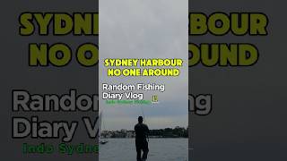 Sydney Fishing vlogs 11  Sydney Harbour overcast nice conditions [upl. by Anderer566]