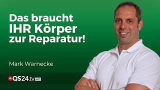 Ernährungsfehler aufgedeckt Wie Proteine und Aminosäuren Ihre Heilung beschleunigen können  QS24 [upl. by Ahsienak]