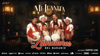 Los Labradores Del Naranjo  Mi Juanita Audio Oficial [upl. by Hines]