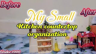 How I Organized My Small Kitchen countertop  kitchen Organized Ideas Best Kitchen Organizer [upl. by Michiko165]