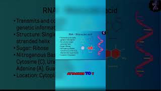 Understanding Nitrogenous Bases Purines vs Pyrimidines [upl. by Savick]