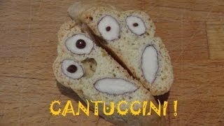 CANTUCCINI [upl. by Ellehsyt976]