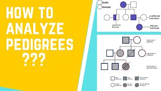 How to Read and Analyze Pedigrees 101 [upl. by Atener]