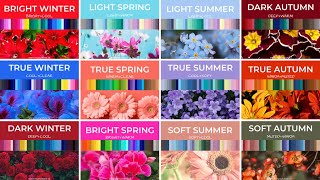 Find Your Color Season with 12Season Color Analysis [upl. by Ahsart]