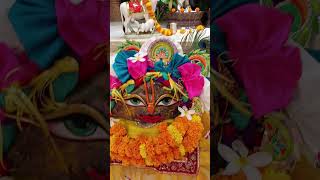 Dulhe Rai Kishori doleraikishori mandalfoundation দোলেরাইকিশোরী iskcon shringar Darshan [upl. by Annoled]