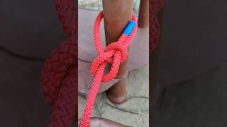 The Great Bowline Knot how bowlineknots shorts trending [upl. by Ahsinik]