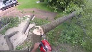 QUICK TREE JOB OVER A GARAGE [upl. by Eixid]