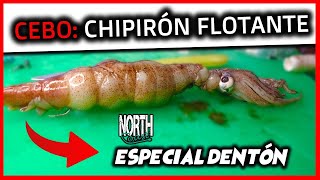 CEBO CHIPIRÓN flotante Aparejo para DENTON con 2 anzuelos en piedra [upl. by Pinsky]