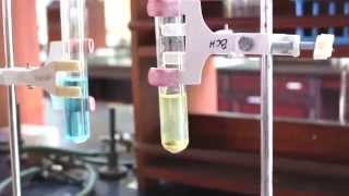 Reaction of Iron Nails with Copper Sulphate Solution in Water  MeitY OLabs [upl. by Avron314]