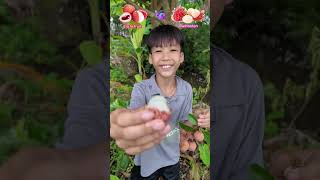 Litchi fruit VS Rambutan  What fruit do you like to eat shorts [upl. by Sherrod]