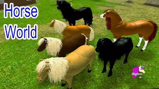 Horse World 3D  My Riding Horse part 8 Horse Game [upl. by Manwell]