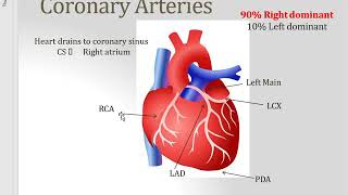 Term 1 CPR Exam 1 Review [upl. by Gilmer719]