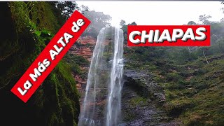 CASCADA LLANO GRANDE🔻El Porvenir  la Grandeza Chiapas ¿Qué hacer visitar más alta que Chiflón [upl. by Pegg]