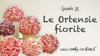 🌸 Le ortensie fiorite 🌸 [upl. by Cirdec]