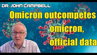 Dr John Campbell Latest Video  Omicron Outcompetes Omicron Official Data [upl. by Karie]