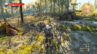 The Witcher 3 Wild Hunt Walkthrough  Side Quest Thou Shalt Not Pass [upl. by Necyrb585]