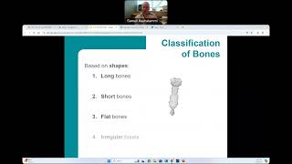 CG  BIO160  Skeletal System [upl. by Naltiak]