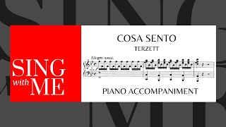 Cosa sento  Terzett  Le nozze di Figaro  Accompaniment  Mozart [upl. by Nileuqay763]