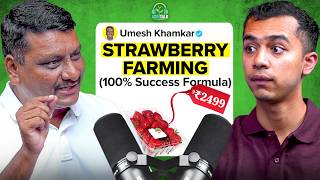 STOP Strawberry Farming Business Model Explained  Agritalk by Abhinav Roy [upl. by Hidie]