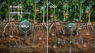 Cortevas Nutrient maximizers to help increase yields [upl. by Ferrick]