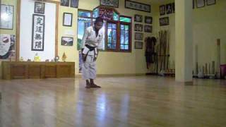 Kushanku Sho  Okinawa ShorinRyu Karatedo KYUDOKAN [upl. by Onilegna]