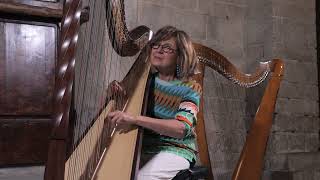 Hermeto Pascoal  Bebê  Harp arrangement by Susanna Bertuccioli [upl. by Ynnub]