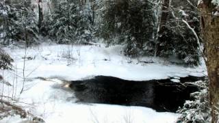 Gateway Creek on the Fen Lake Ski Trail  Algonquin Park [upl. by Lundell450]