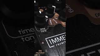 Neunaber Audio  Immerse Reverberator MkII Plate Reverb SHORTS [upl. by Rolanda]