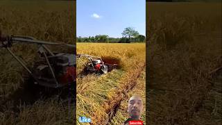 Mini Power reaper Machinedhan Cutter machinePaddy harvesting agriculture paddycutting [upl. by Feetal]