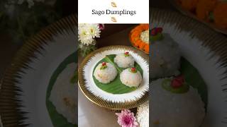 Sago Vrat Dumplings 🥟 Navratri [upl. by Ettezel617]