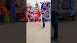 Horse dancing tharo kamar ko pasino horse youtube youtubeshorts viralvideo dj ytshorts [upl. by Yaluz]