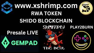 SHRIMP A utility driven profit sharing protocol on Shido Blockchain [upl. by Alletneuq]