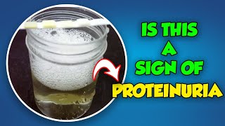 Is Foamy Urine Always a Sign of Proteinuria [upl. by Isied]