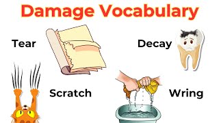 Damage Verbs  Action Verbs  English Vocabulary  Common English words  Native English [upl. by Yduj]