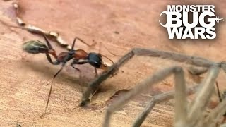 Epic Ant Battles 2  MONSTER BUG WARS [upl. by Plossl904]