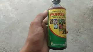 Niraculan Plant Growth Regulator Triacontanol 005 EC For Production Growth [upl. by Pegasus]