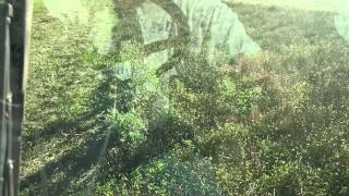 Harvesting organic red clover 2014 [upl. by Randall788]