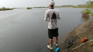 Florida Salt Life Fishing again [upl. by Eehc]