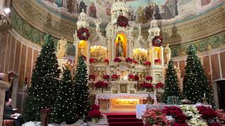 St Casimir Mass for January 28 2024 [upl. by Shira]