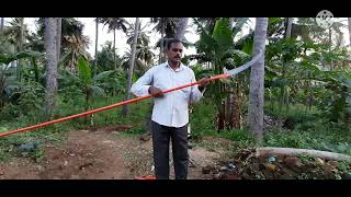 Extendable Pole Saw for trimming Tree 🌳 Pruner [upl. by Symon]