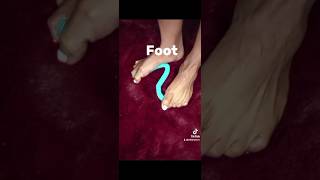 Soft Carpet Foot Movements 👣 foryou fyp fypシ゚viral foryoupage fypage foryourpage [upl. by Aihc]