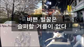 한양대 실내건축디자인학과 2022 졸업작품 브이로그 3  바쁜 벌꿀은 슬퍼할 겨를이 없다 [upl. by Nylekoorb]