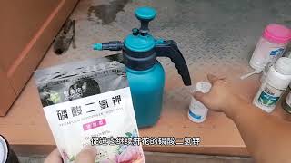 磷酸二氢钾缺了“硼”，喷100次都白搭？ [upl. by Mecke492]