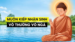 Muôn Kiếp Nhân Sinh  Vô Thường Vô Ngã Duyên Sinh [upl. by Llekim5]