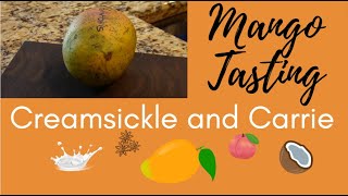 Tasting Sinclair  Creamsickle and Carrie Mangos from Florida [upl. by Schlessinger735]