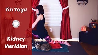 Yin Yoga for Hips Hamstrings amp Back  Kidney Meridian 45 mins [upl. by Affer]