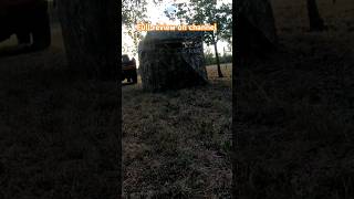 TIDEWE Occult hunting blind Practice how you HUNT hunting deerhunting archery archerylife [upl. by Llevrac]