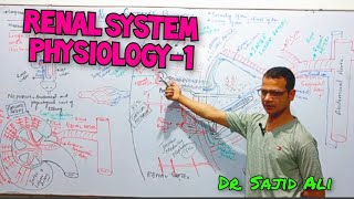 Renal System Physiology  Renal blood Flow  Kidney  Types of Nephron [upl. by Dorn]